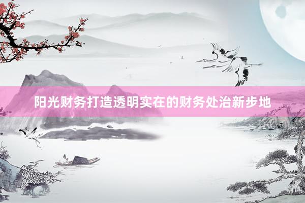 阳光财务打造透明实在的财务处治新步地