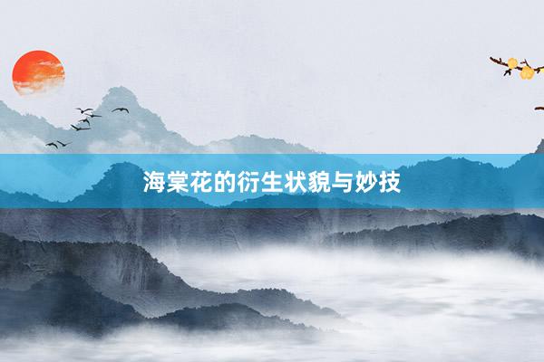 海棠花的衍生状貌与妙技