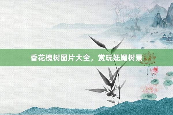 香花槐树图片大全，赏玩妩媚树景