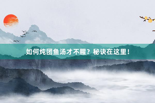 如何炖团鱼汤才不腥？秘诀在这里！